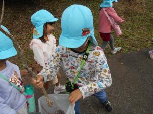 5歳児　木の枝を拾いました