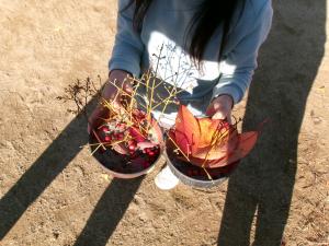 4歳児園庭遊びの様子