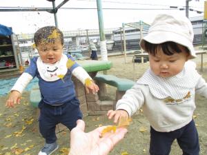 イチョウの葉で遊ぶ子ども達