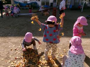 いちょうを散らして楽しんでいます。