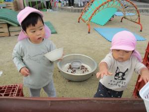 といにどんぐりを転がしをしています。