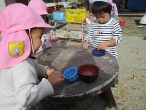 木の実を集めています。