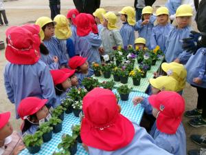 どの花にしうかな