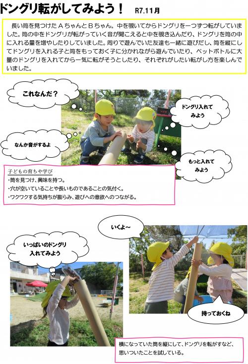 ドングリ転がしてみよう1