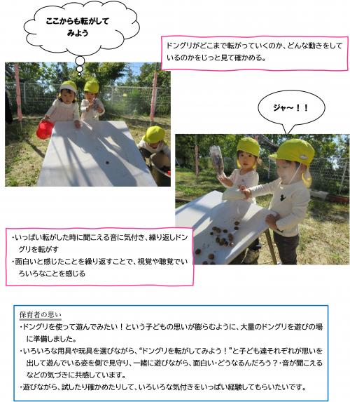 ドングリ転がしてみよう2