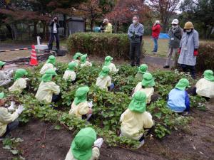 掘る前に説明してくださっている様子