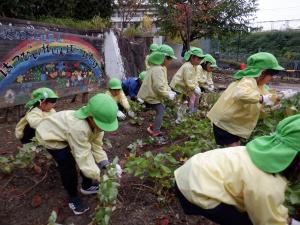 つるを引っ張る様子