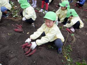 土から出てくる様子