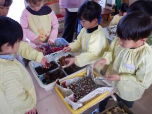 飾り付ける自然物を選ぶ様子