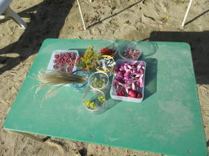 いろいろな花や実