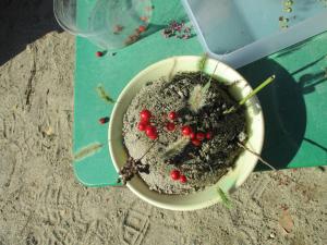 自然物で作ったケーキ