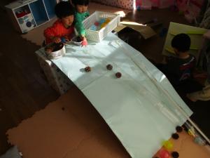 部屋でまつぼっくりを転がしているところ