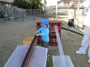 実を転がしているところ