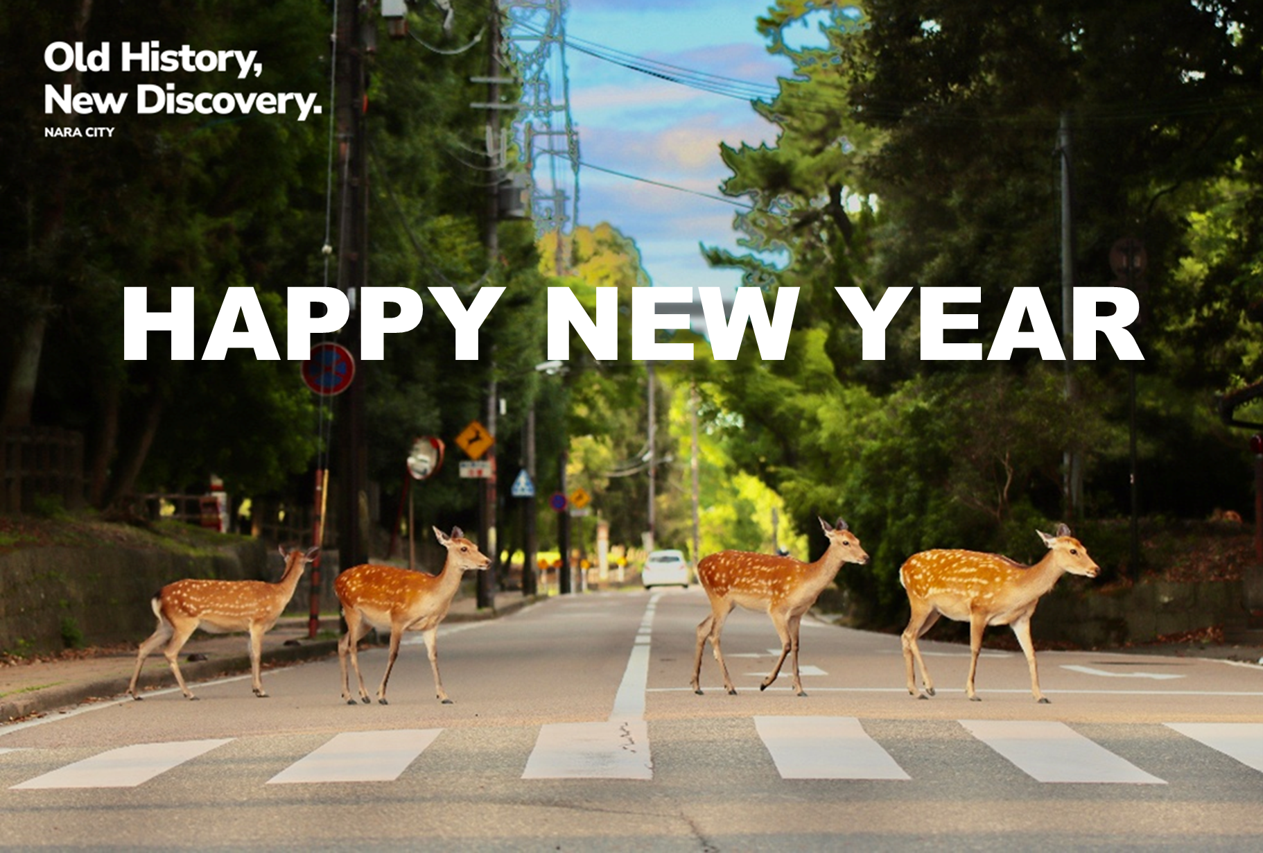 【13】NARA Abbey Road