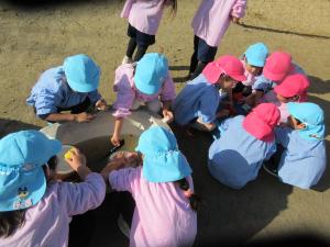 おもちゃあらい