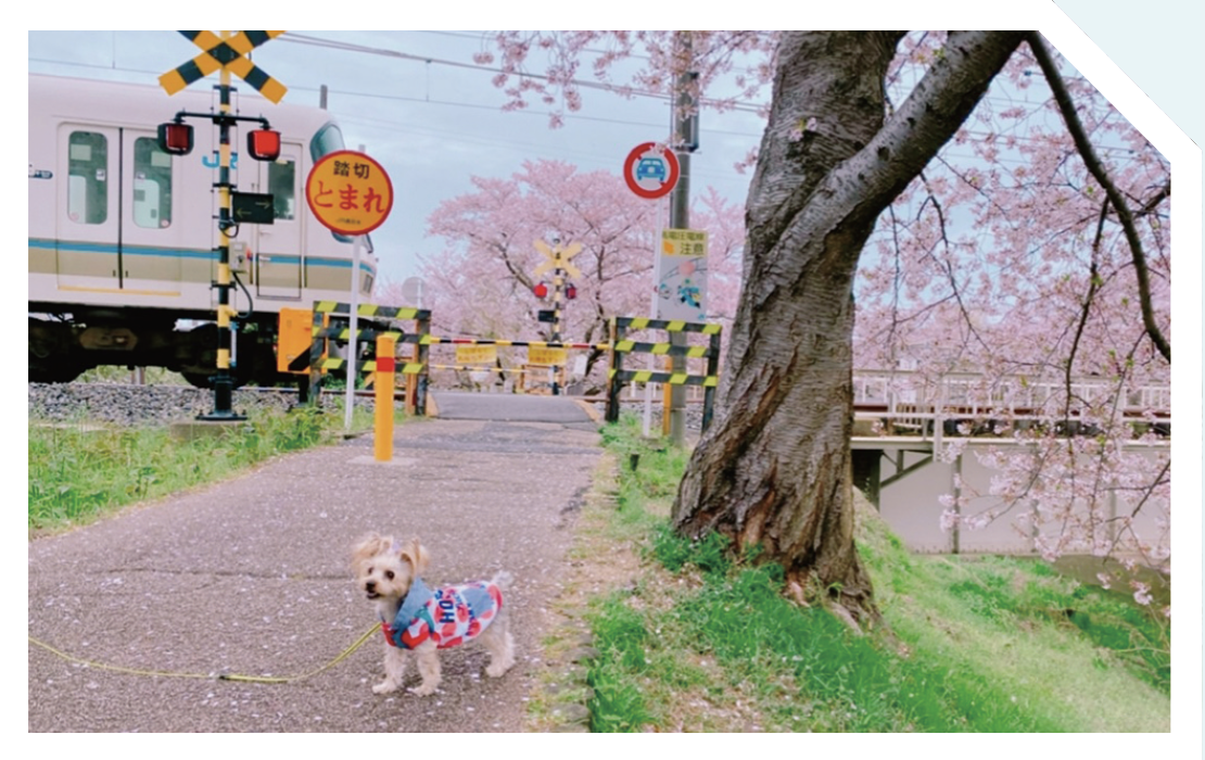 りびさん撮影写真