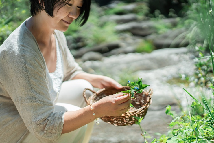 ツユクサをつむ大西さん