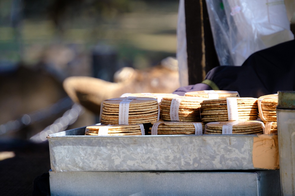 秋の奈良公園10(photo by mitto) 季節、くらしの風景