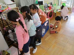 クラゲにえさやり