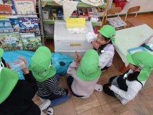 イルカにエサやり