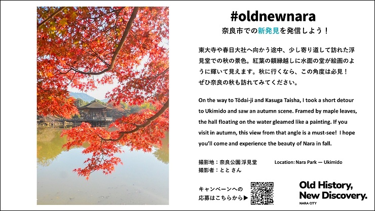 放映中の画像 浮御堂