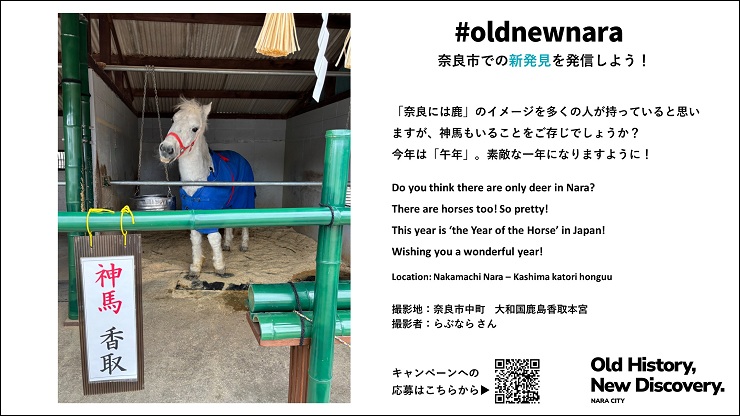 放映中の画像 大和国鹿島香取本宮