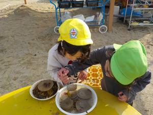 氷を見つけて遊ぶ子ども達