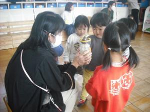 ヒヤシンスを見ているところ