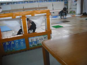 いないいないばあ