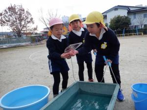 佐保幼　21日氷