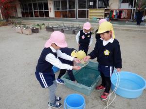 佐保幼　21日氷　5