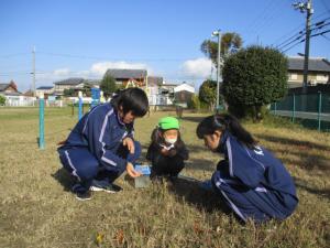 園庭で落ち葉などを探す園児と中学生