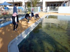 佐保幼　プール氷2