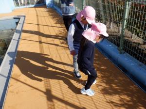 佐保幼　プール氷3