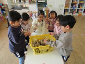 豆まきの豆を作っています