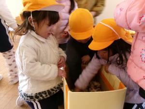 豆を作っています