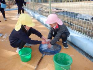 佐保幼　２月プール氷３