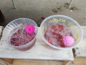 佐保幼　２月プール氷⑦