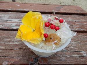 佐保幼　２月プール氷８