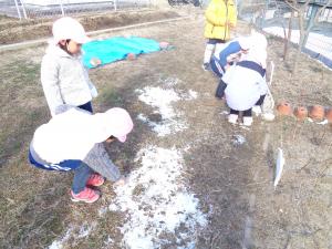 雪を触ってみたよ