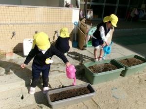 お花に水をあげる