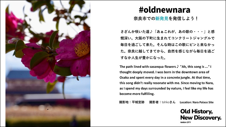 放映中の画像　平城宮跡さざんか