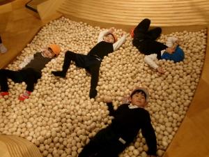 木の玉のプールに入ろう