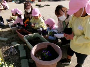 花植え　さくら１