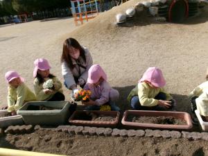 花植え　さくら３