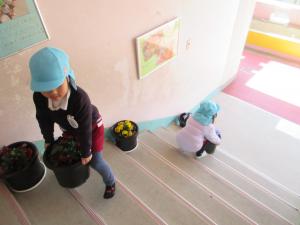 そら組の子ども達が、植木鉢を運んでいます。