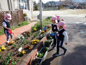 佐保幼　3月水やり