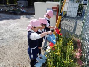 佐保幼　3月水やり2