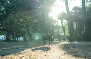 創造力を掻き立てる環境のイメージ画像