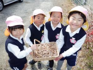 佐保幼　つくし５